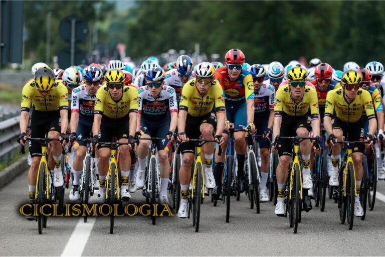 WOUT VAN AERT VISMA