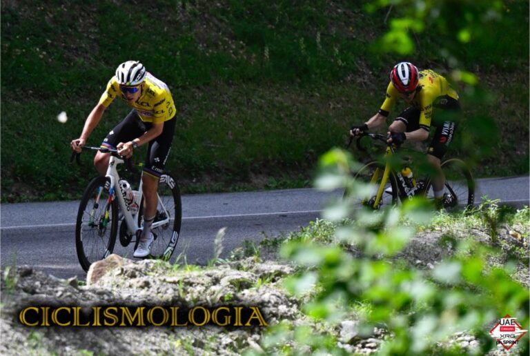TADEJ POGACAR CRITERIUM 7