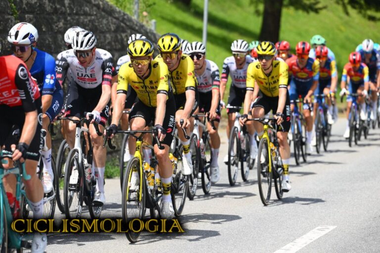 VISMA LEASE A BIKE SUIZA