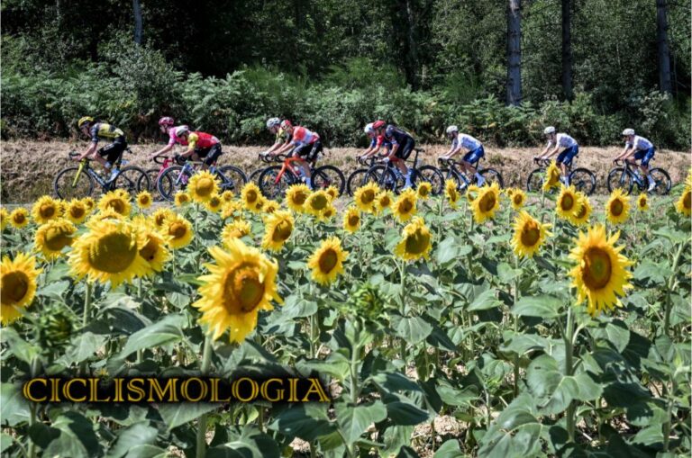 TOUR DE FRANCIA ETAPA 12