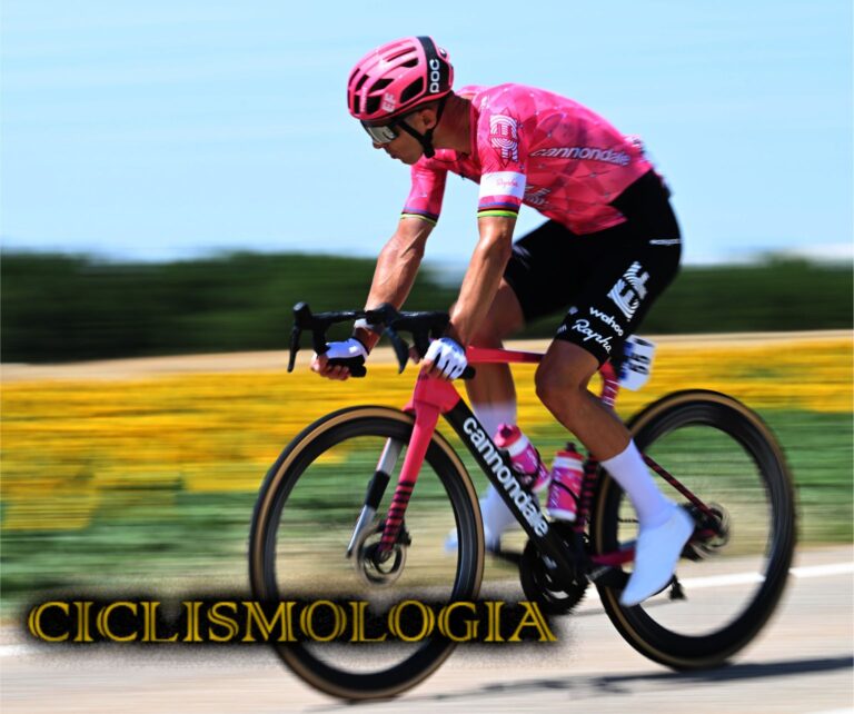 RUI COSTA EF