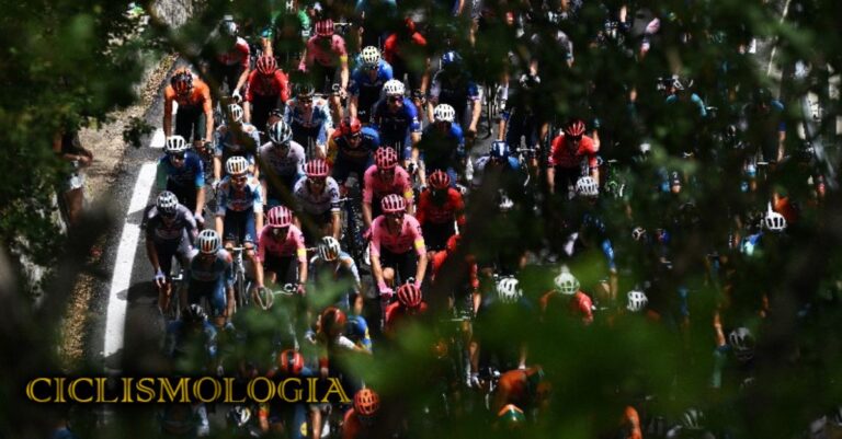 UCI PELOTÓN