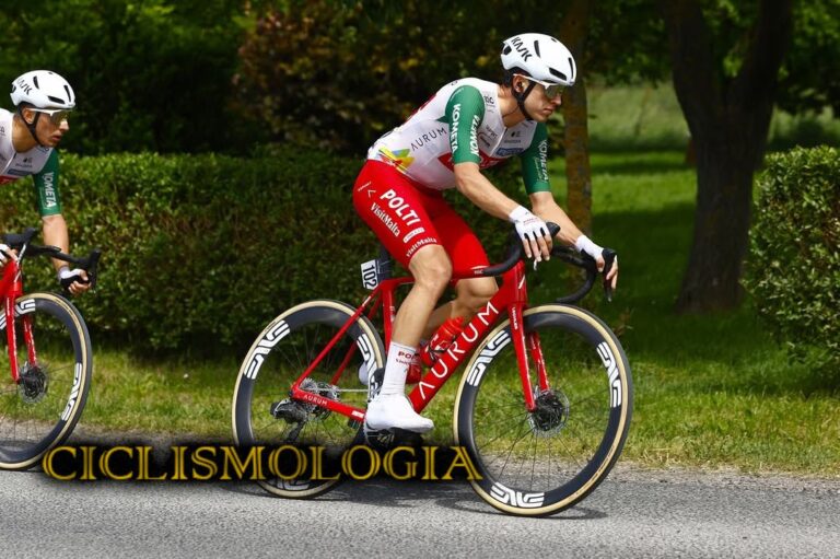 GERMÁN DARÍO GÓMEZ POLTI MALTA