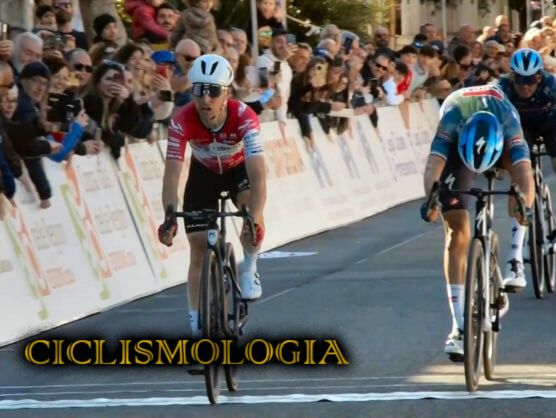 NICOLO GARIBBO CERDEÑA