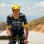 EDOARDO AFFINI VISMA