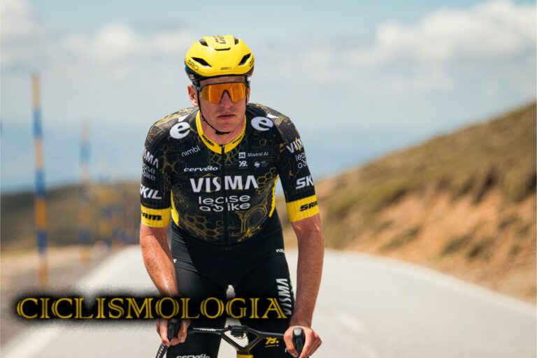 EDOARDO AFFINI VISMA
