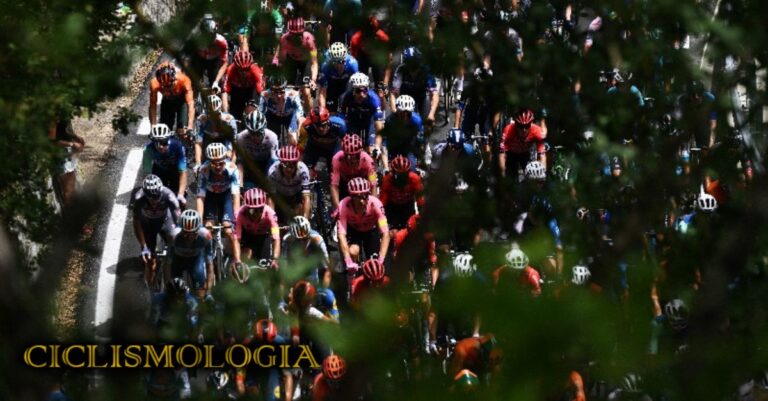 UCI PELOTÓN