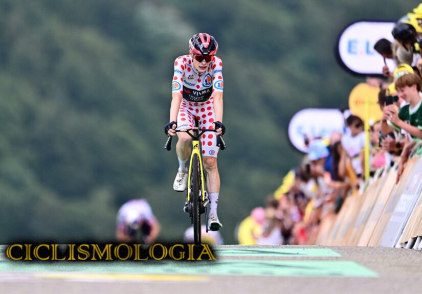 JONAS VINGEGAARD TDF 26