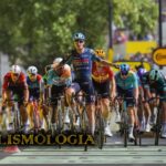 TIM MERLIER TDF